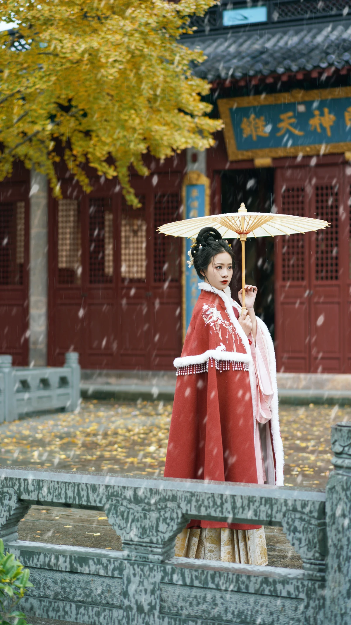 [YITUYU] 2022.12.22 Vol.2727 – First Snow Wangwang Xiaoxiaoshu#[23P]-19